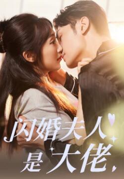 闪婚夫人是大佬