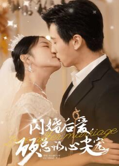 闪婚后爱顾总的心尖宠