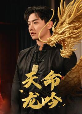 天命龙吟