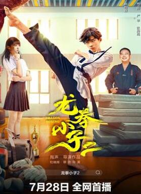龙拳小子2
